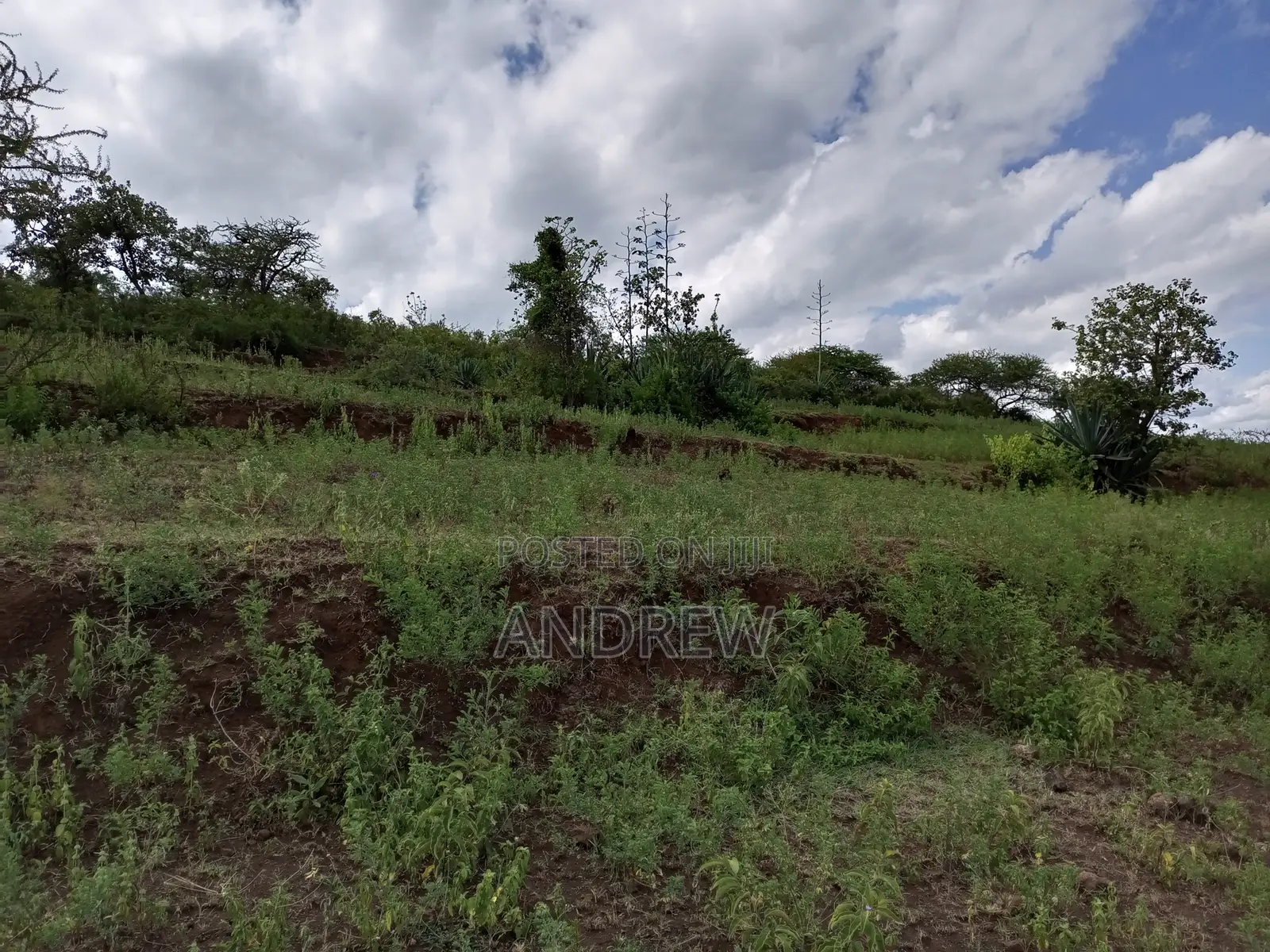 Land for Sale Arusha, Usa River, Dolly Estate, Ngurdoto, Mandela