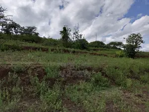 Land for Sale Arusha, Usa River, Dolly Estate, Ngurdoto, Mandela