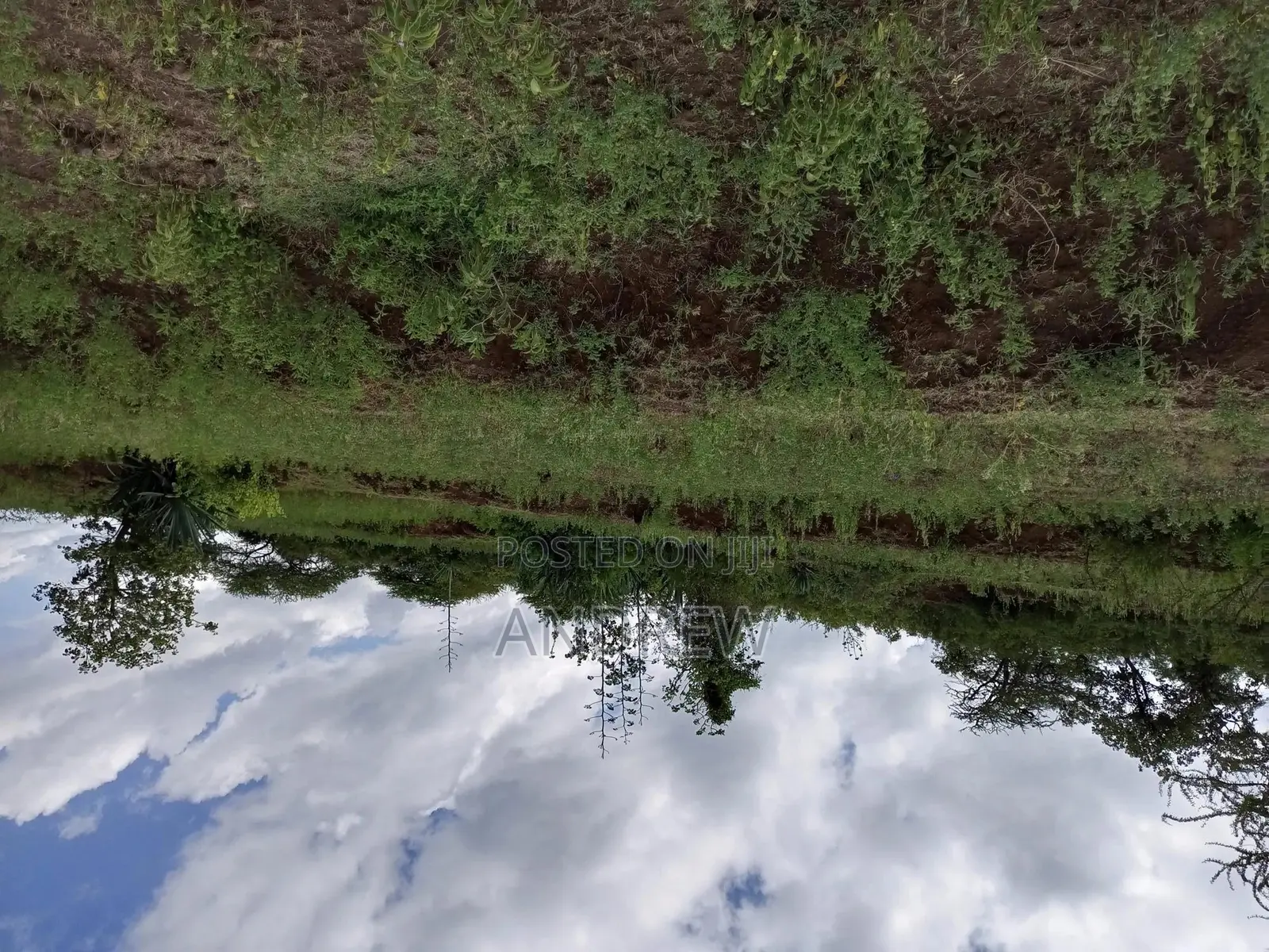 Land for Sale Arusha, Usa River, Dolly Estate, Ngurdoto, Mandela