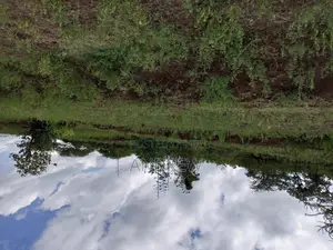 Land for Sale Arusha, Usa River, Dolly Estate, Ngurdoto, Mandela