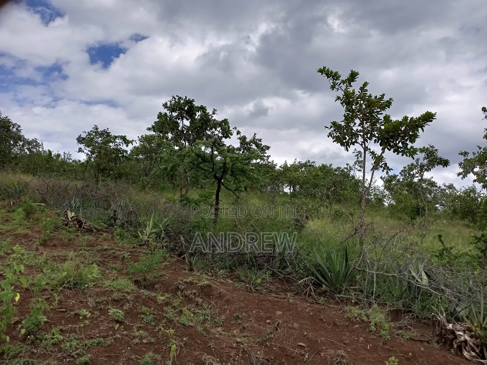 Land for Sale Arusha, Usa River, Dolly Estate, Ngurdoto, Mandela
