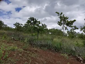 Land for Sale Arusha, Usa River, Dolly Estate, Ngurdoto, Mandela
