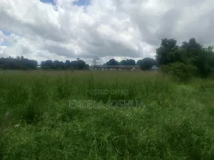 Eneo Limekamata Main Road (Morogoro Rd) Linauzwa