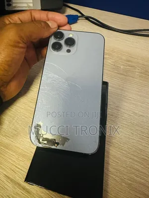 iPhone 13 Pro Max Back Glass