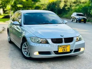 BMW 3 Series 2006 Silver