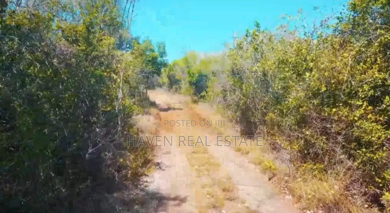 Beach Plot for Sale at Zanzibar