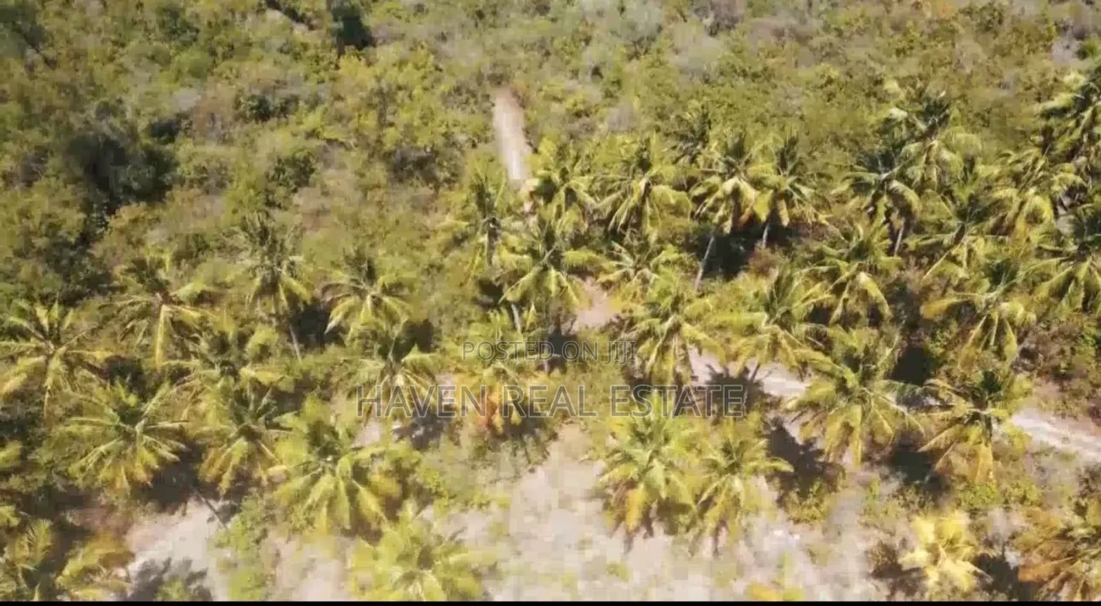 Beach Plot for Sale at Zanzibar