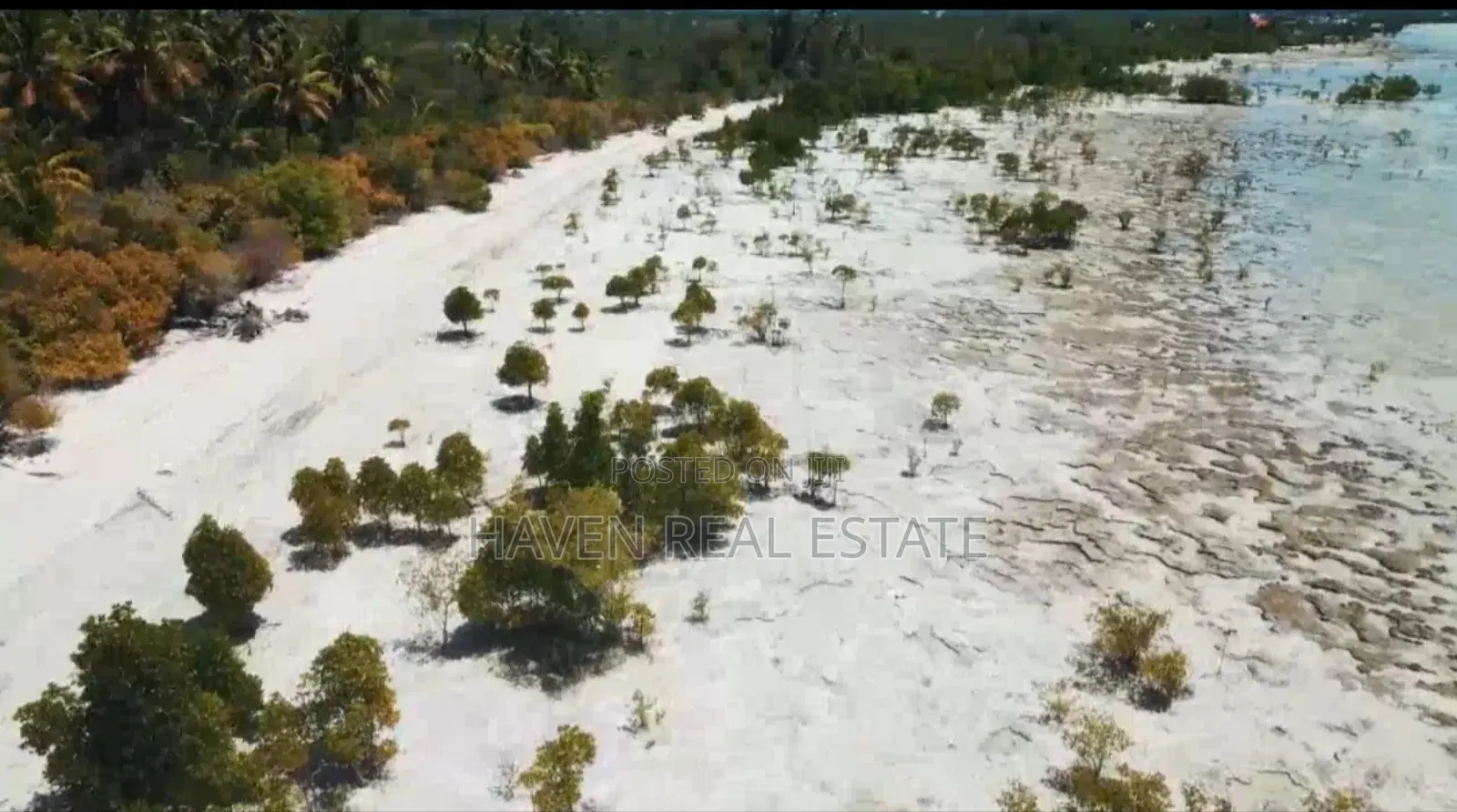 Beach Plot for Sale at Zanzibar