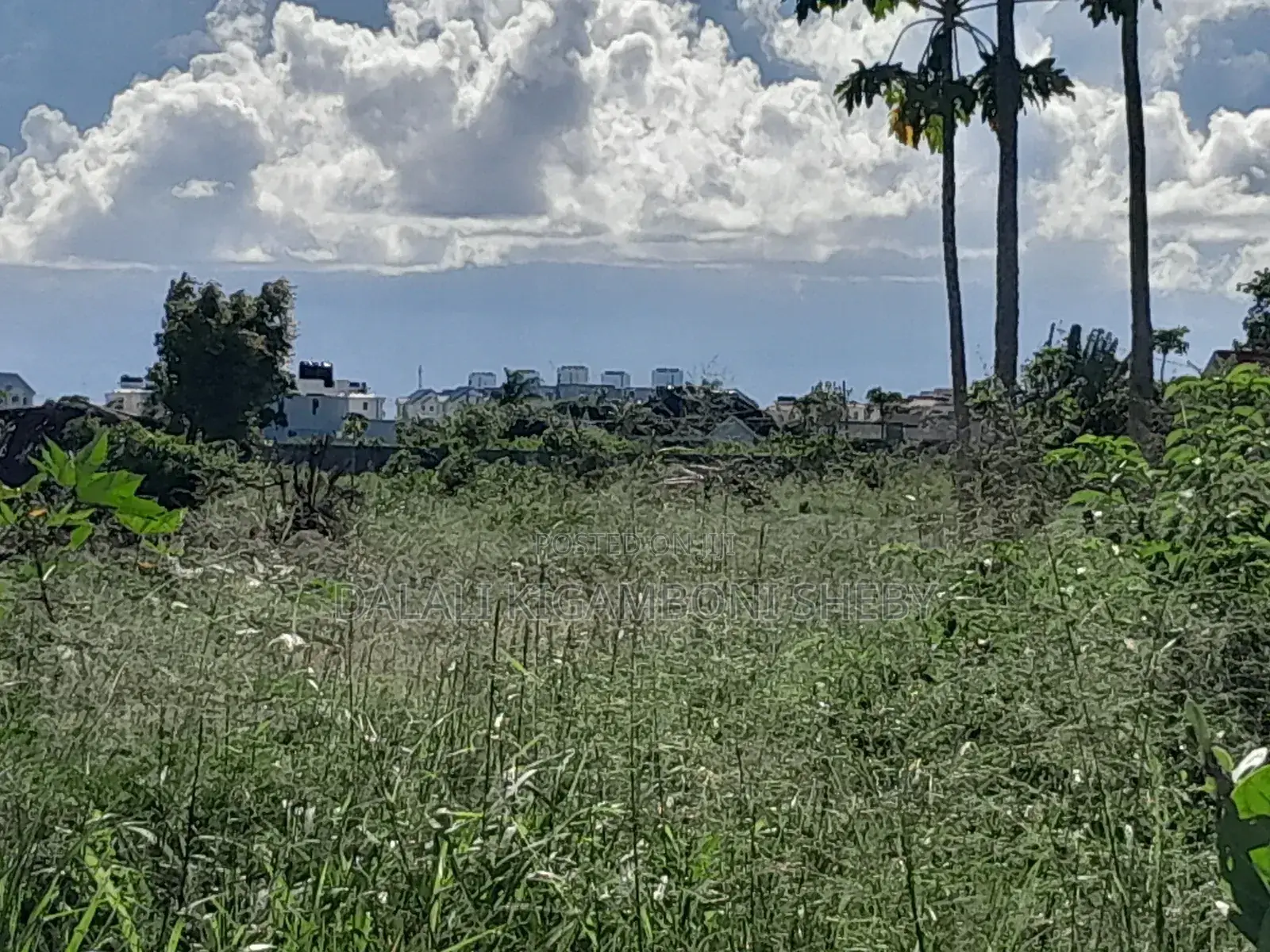 Viwanja Vinauzwa Kigamboni Mwongozo