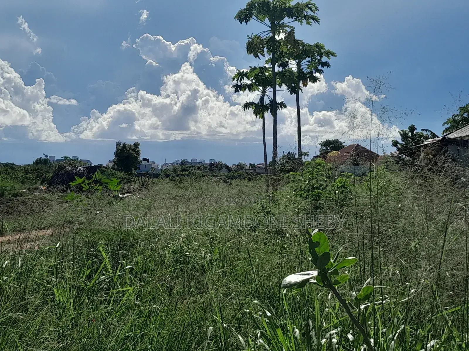 Viwanja Vinauzwa Kigamboni Mwongozo