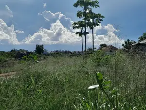 Viwanja Vinauzwa Kigamboni Mwongozo