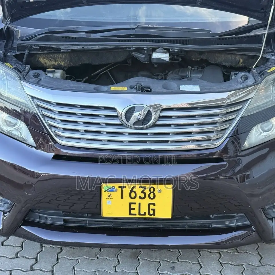 Toyota Vellfire 2011 Purple