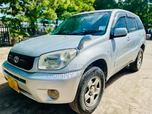 Toyota RAV4 2004 Silver