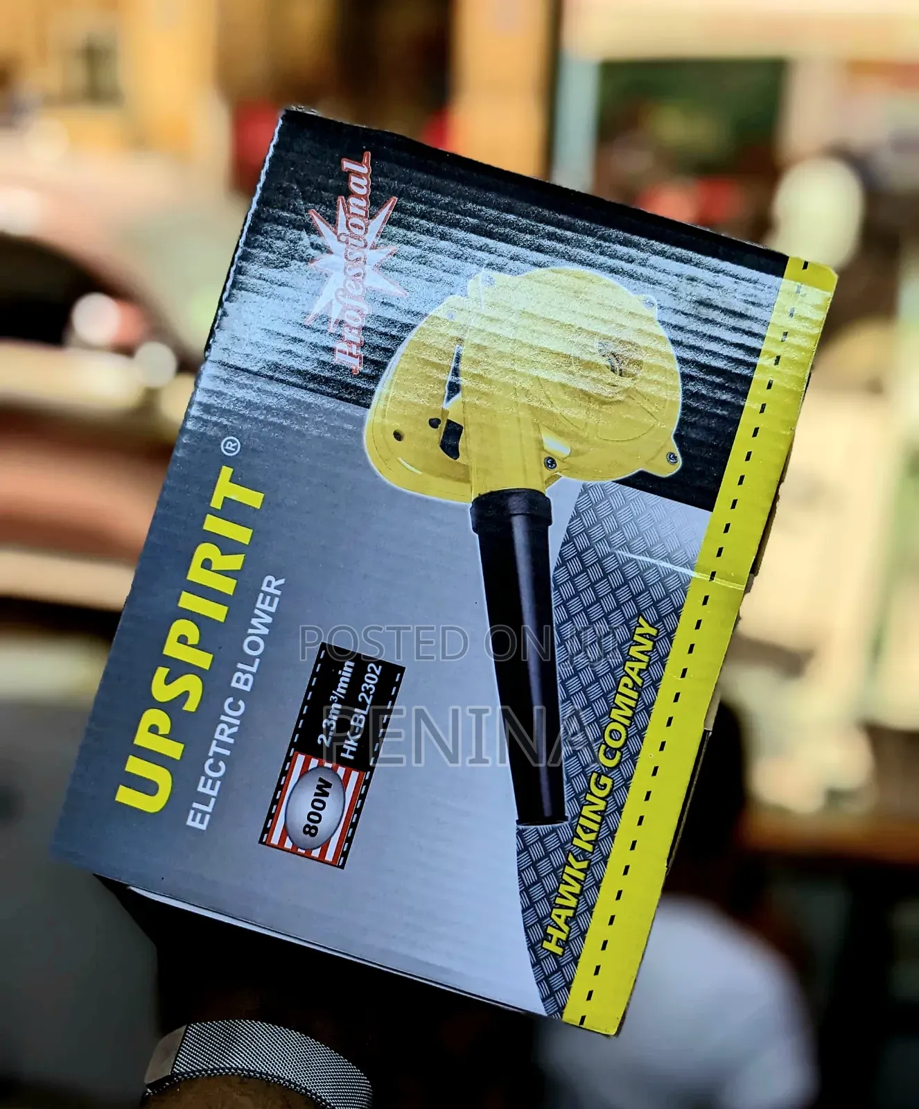 Upspirit Electric Blower 800w