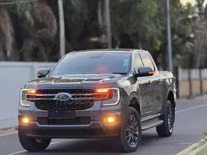 Ford Ranger Wildtrak 2023 Gray