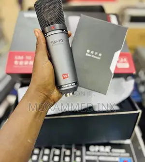 Mic Takstar Sm10