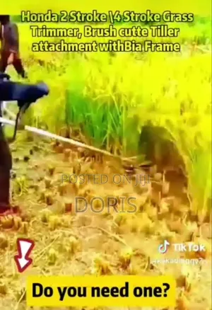 Grass Cutter and Grass Trimmer