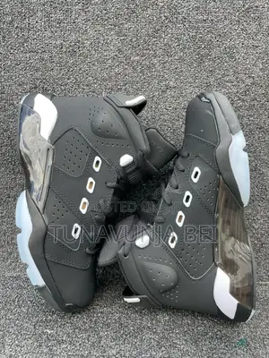 Jordan 6 Shoe's 