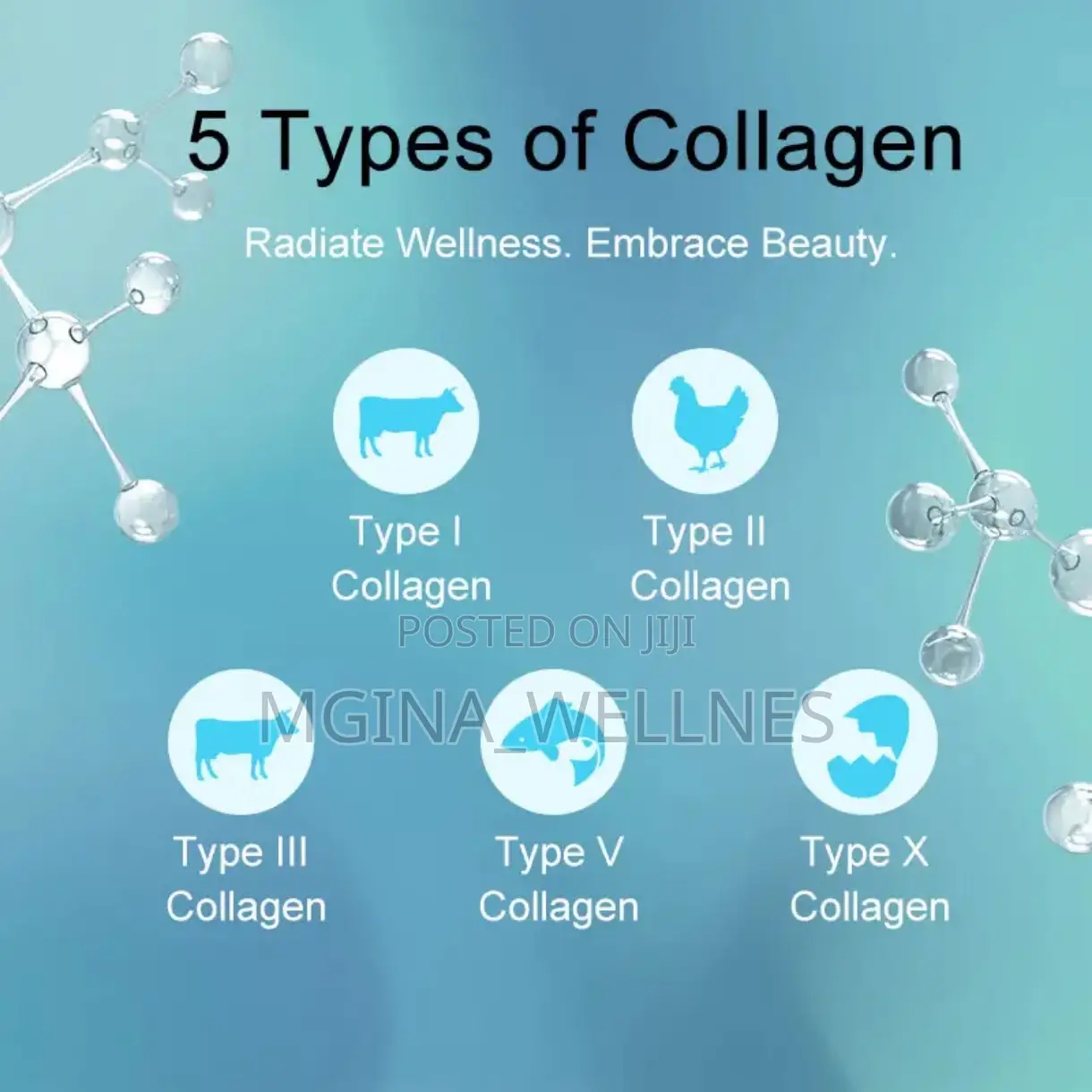 Multi-Collagen With Burn Powder (300 Grams, 30 Servings)