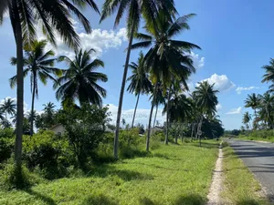 Industrial Area Plot With 6 Acres for Sale at Mkuranga