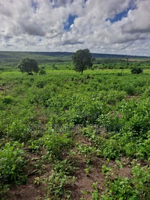 Shamba Linauzwa
