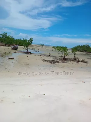 Beach Plot for Sale at Tanga Pangani Near Kipumbwi Port