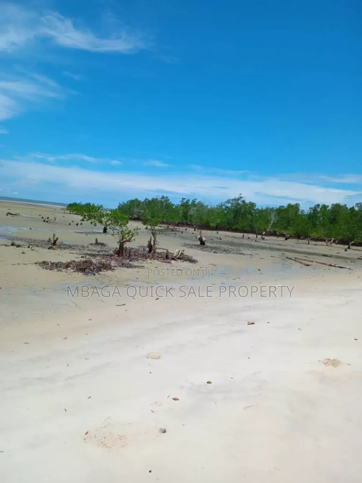 Beach Plot for Sale at Tanga Pangani Near Kipumbwi Port