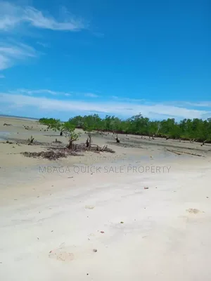 Beach Plot for Sale at Tanga Pangani Near Kipumbwi Port