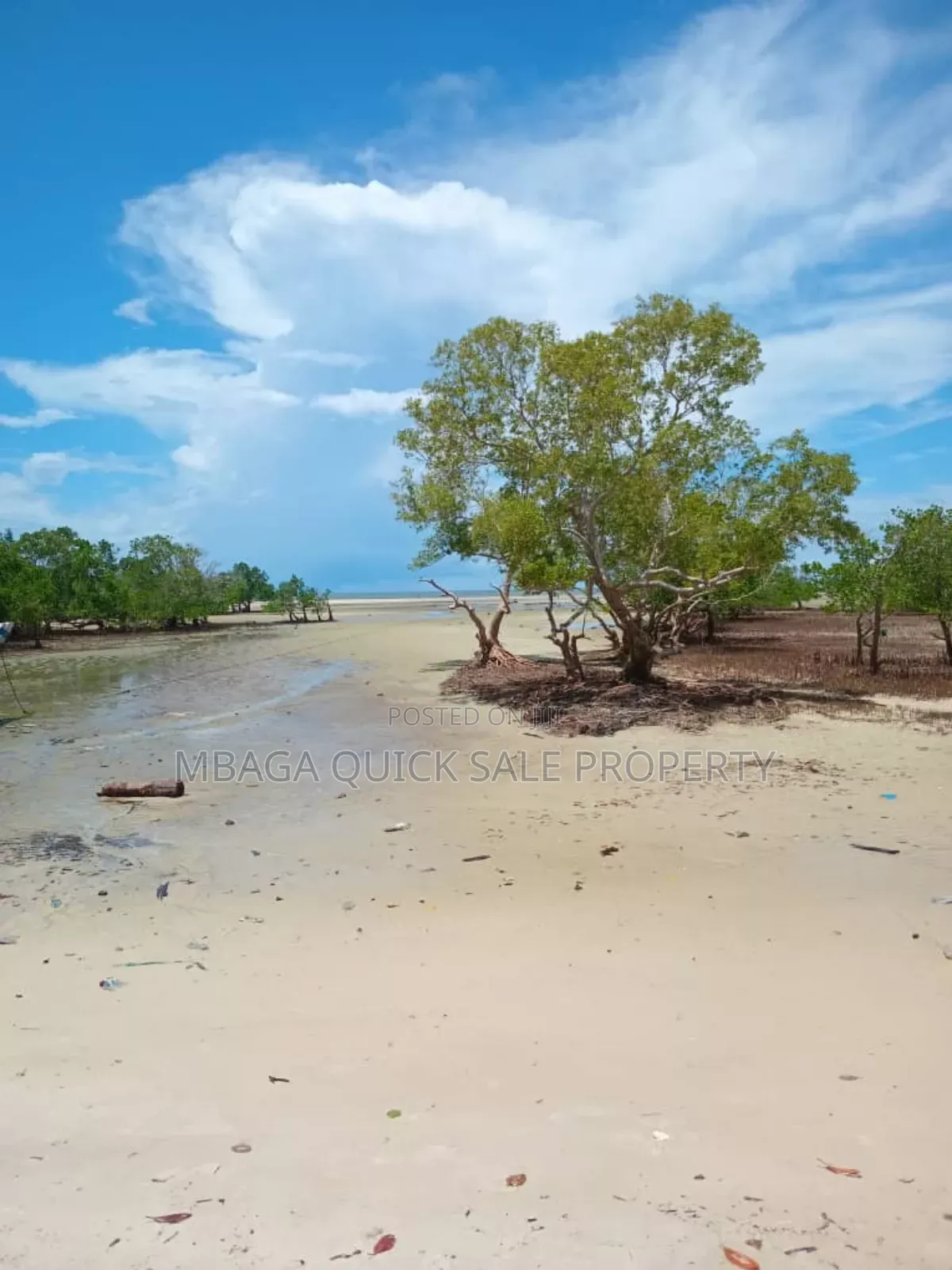 Beach Plot for Sale at Tanga Pangani Near Kipumbwi Port