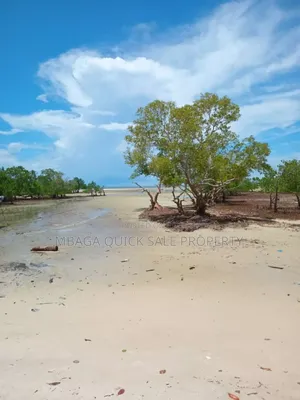 Beach Plot for Sale at Tanga Pangani Near Kipumbwi Port