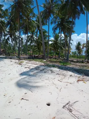 Beach Plot for Sale at Tanga Pangani Near Kipumbwi Port