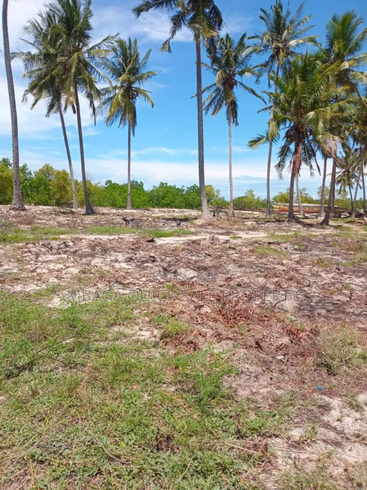 Beach Plot for Sale at Tanga Pangani Near Kipumbwi Port