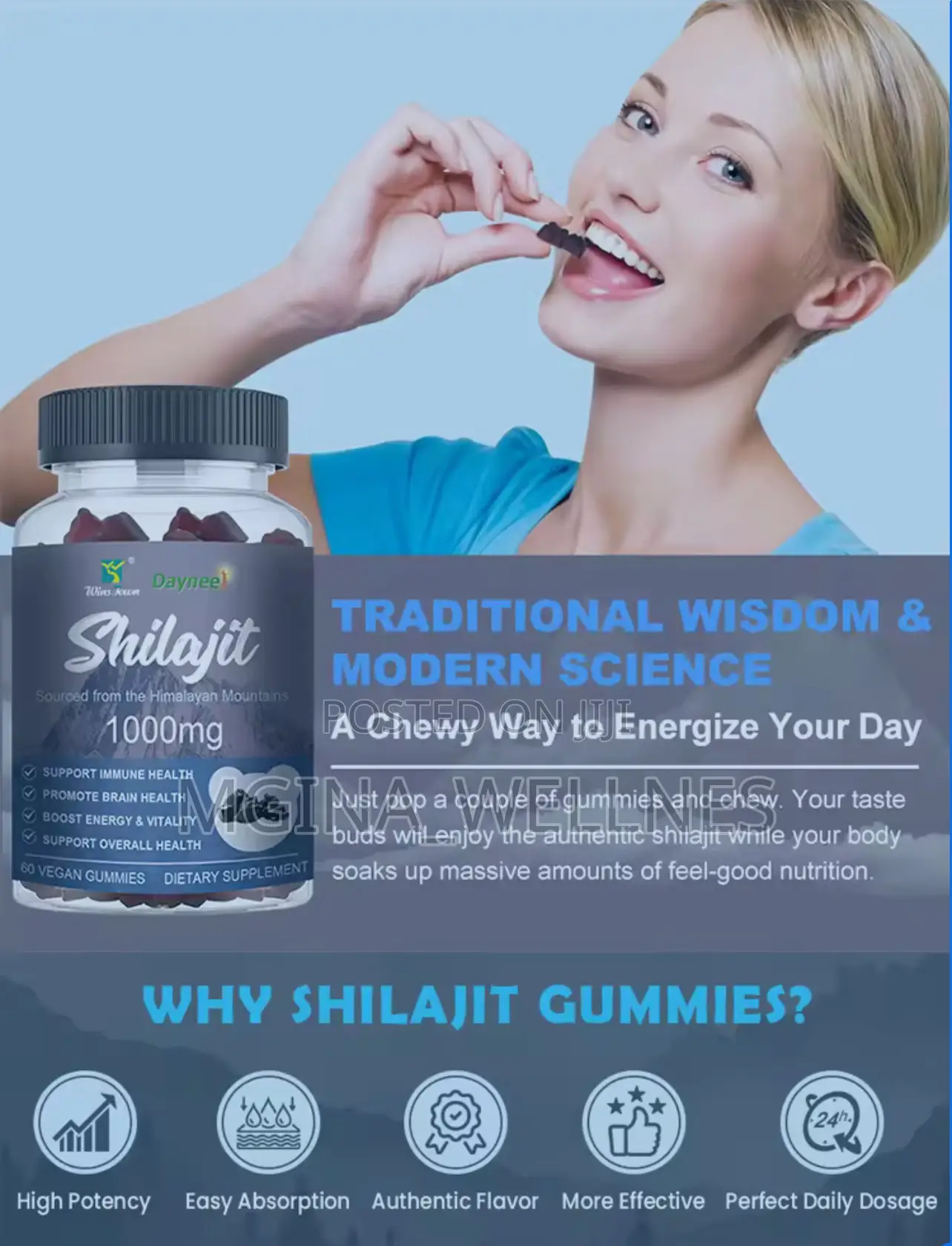 Shilajit From the Himalayan Mountains