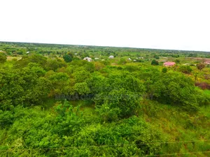 Plot With 100 Acres for Sale at Kibaha Misugusugu