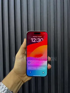 Apple iPhone 15 Pro Max 256 GB Silver