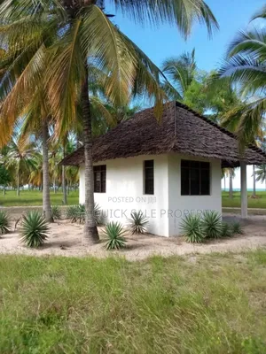 Beach Plot With 10 Acres for at Kilwa Masoko