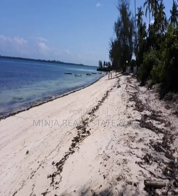 Beach Plot for Sale Kizimkazi Zanzibar