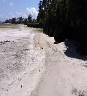 Beach Plot for Sale Kizimkazi Zanzibar