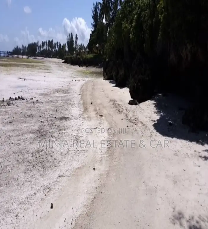 Beach Plot for Sale Kizimkazi Zanzibar