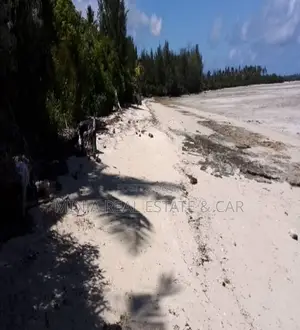 Beach Plot for Sale Kizimkazi Zanzibar