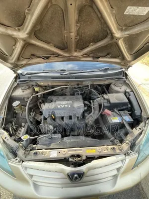 Toyota Corolla RunX 2005 Gold