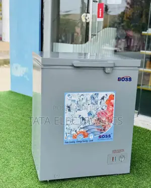 Boss 150 Liter Chest Freezer || Be-150ss
