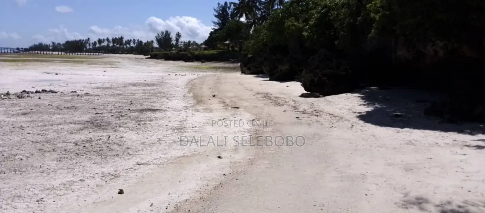 Beach Plot at Zenji Kizimkazi