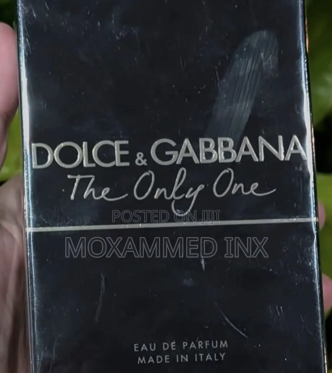 Dolce Gabbana the Only One