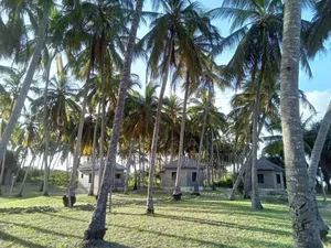 Beach Plot for Sale at Mkuranga