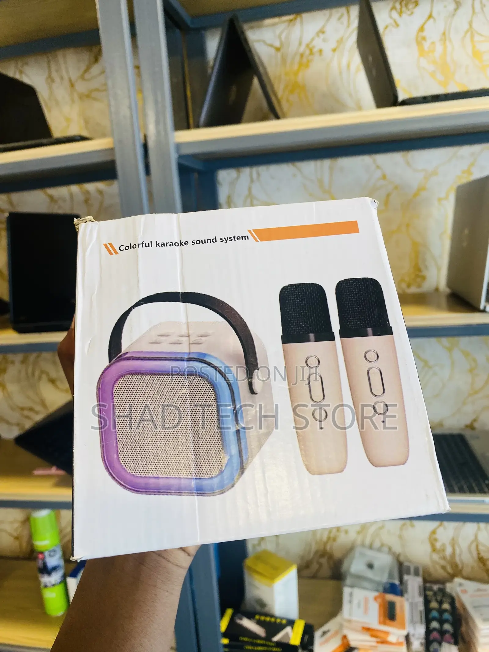 Wireless Karaoke Speaker
