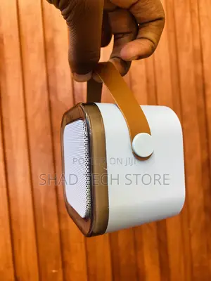 Wireless Karaoke Speaker