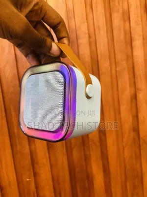 Wireless Karaoke Speaker