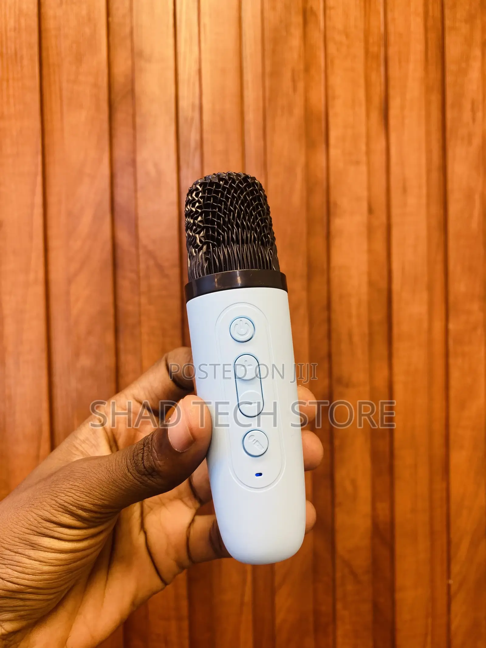 Wireless Karaoke Speaker