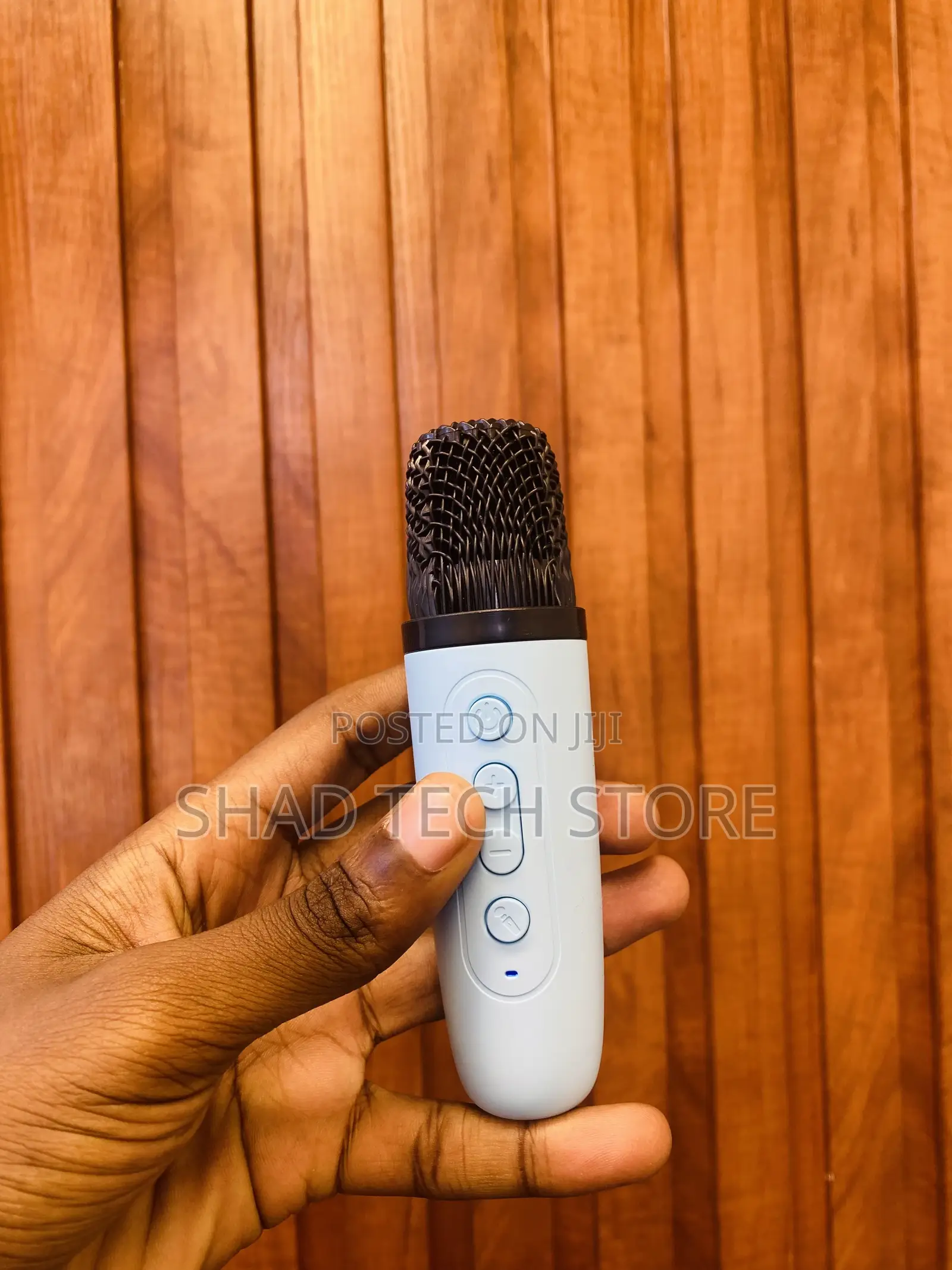 Wireless Karaoke Speaker